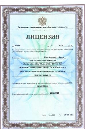 Лицензия.jpg
