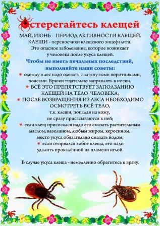 Клеш.jpg