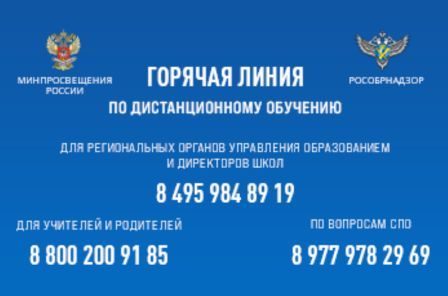 Горячая линия.jpg