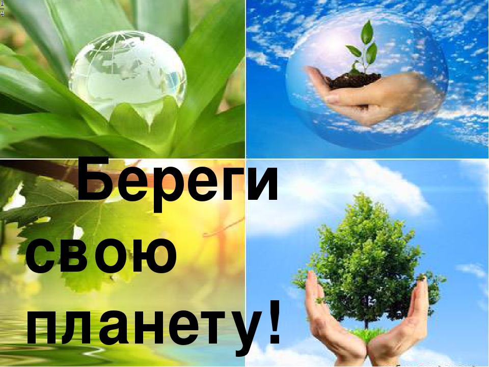 береги планету.jpg