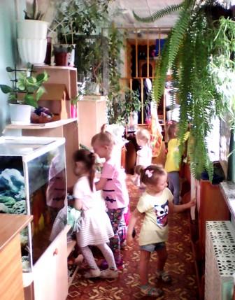 11 В Комнате Природы интересно!.jpg