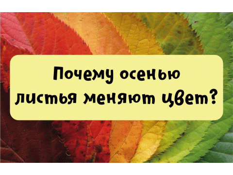 9dbc1b77540ce2e49008aa2078a31ab8.gif