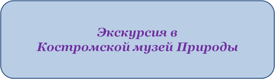 Рисунок1.png