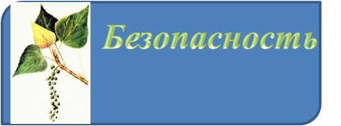 БЕЗОПАСНОСТЬ.png