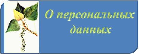 О ПЕРСОНАЛЬНЫХ ДАННЫХ.png