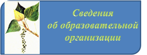 Сведения.png
