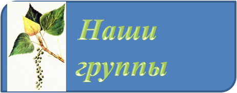 наши группы.png