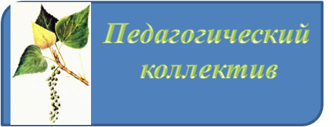 пЕДАГОГИЧЕСКИЙ КОЛЛЕКТИВ.png