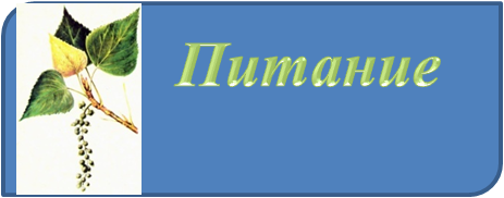 питание1.png