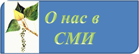 сми.png