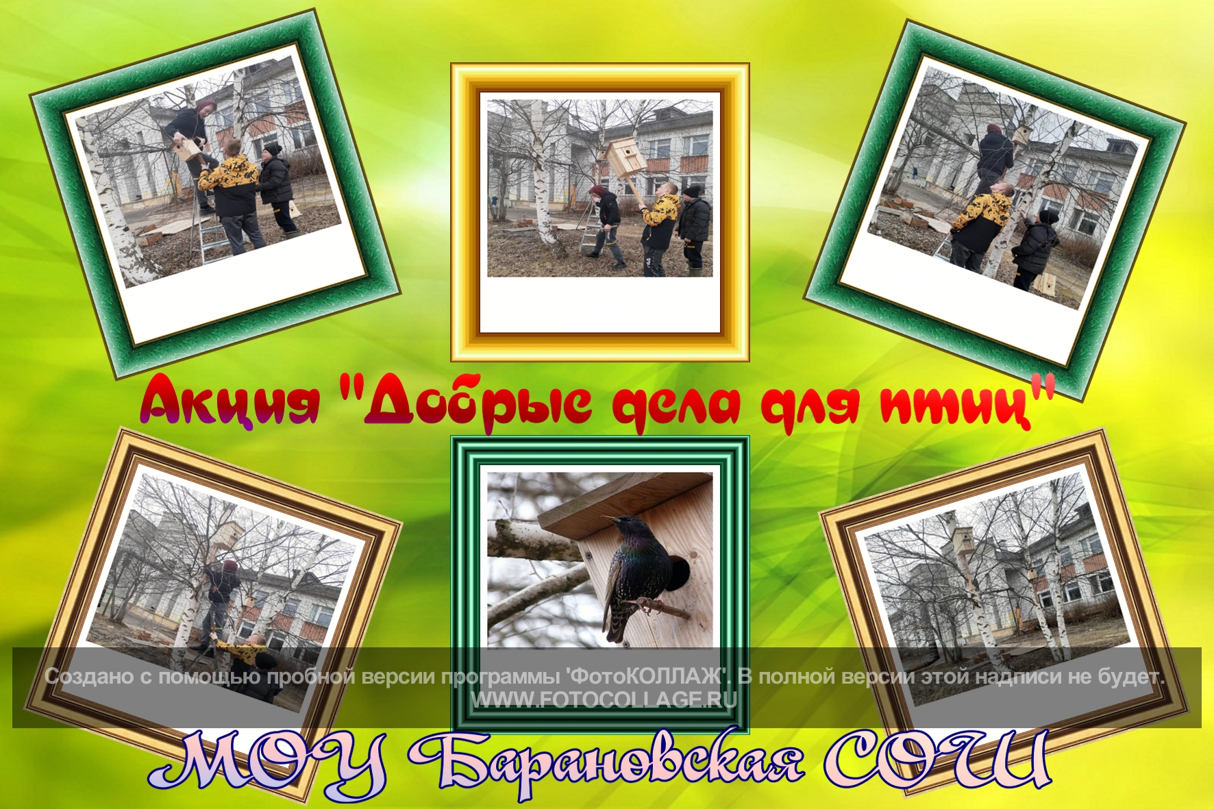 Добрые дела для птиц_МОУ Барановская СОШ.jpg
