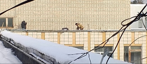 Капремонт 19.02 (4).jpeg