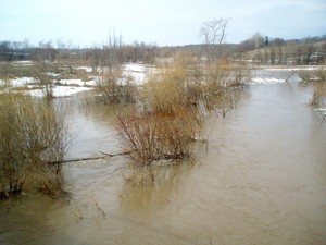 Половодье_2008.jpg