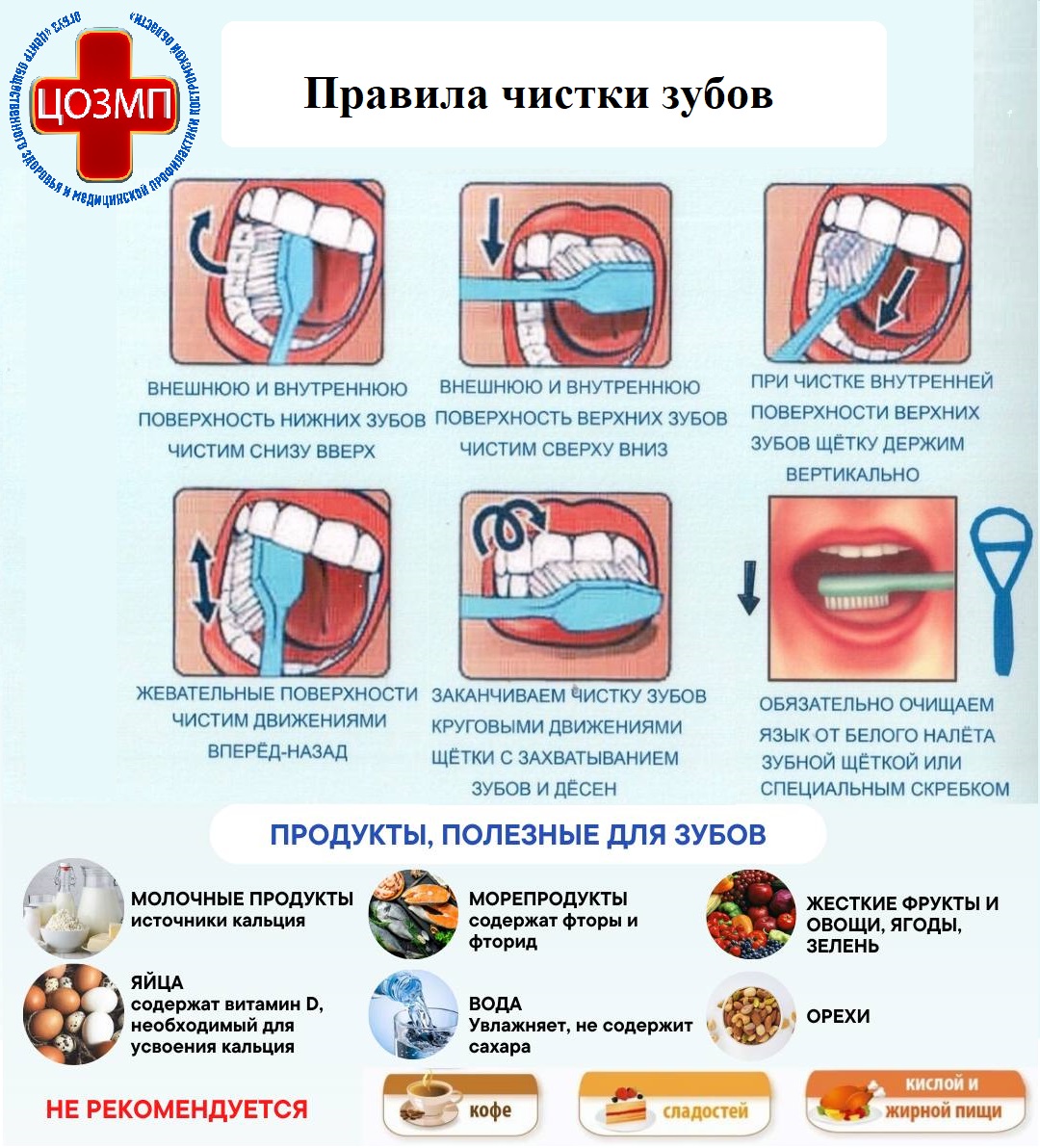 Правила чистки зубов.jpg