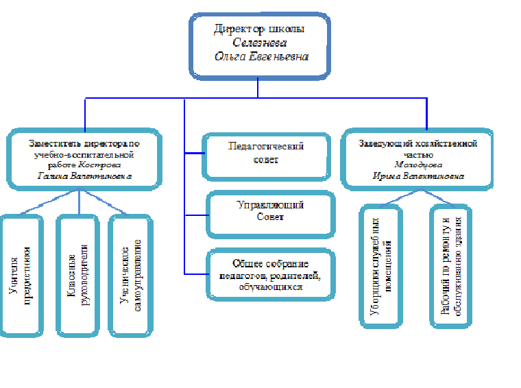Структура управления образовательной организацией