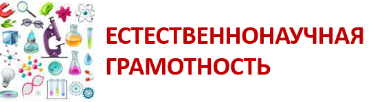 ЕНГ.png