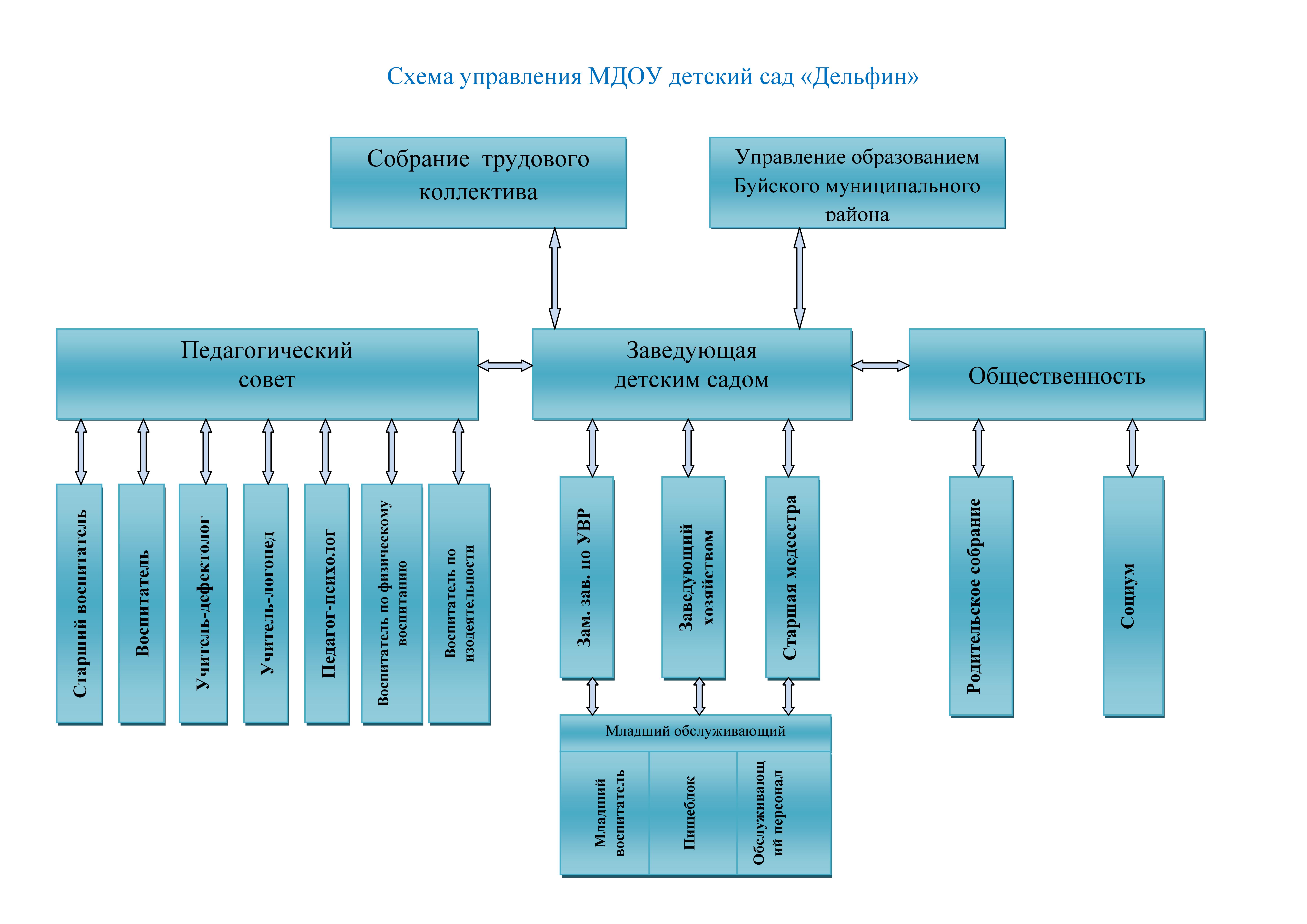 Схема управления МДОУ детский сад Дельфин