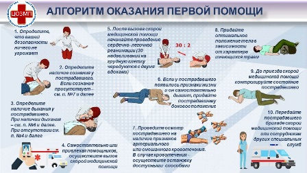 Алгоритм оказания первой помощи.jpg