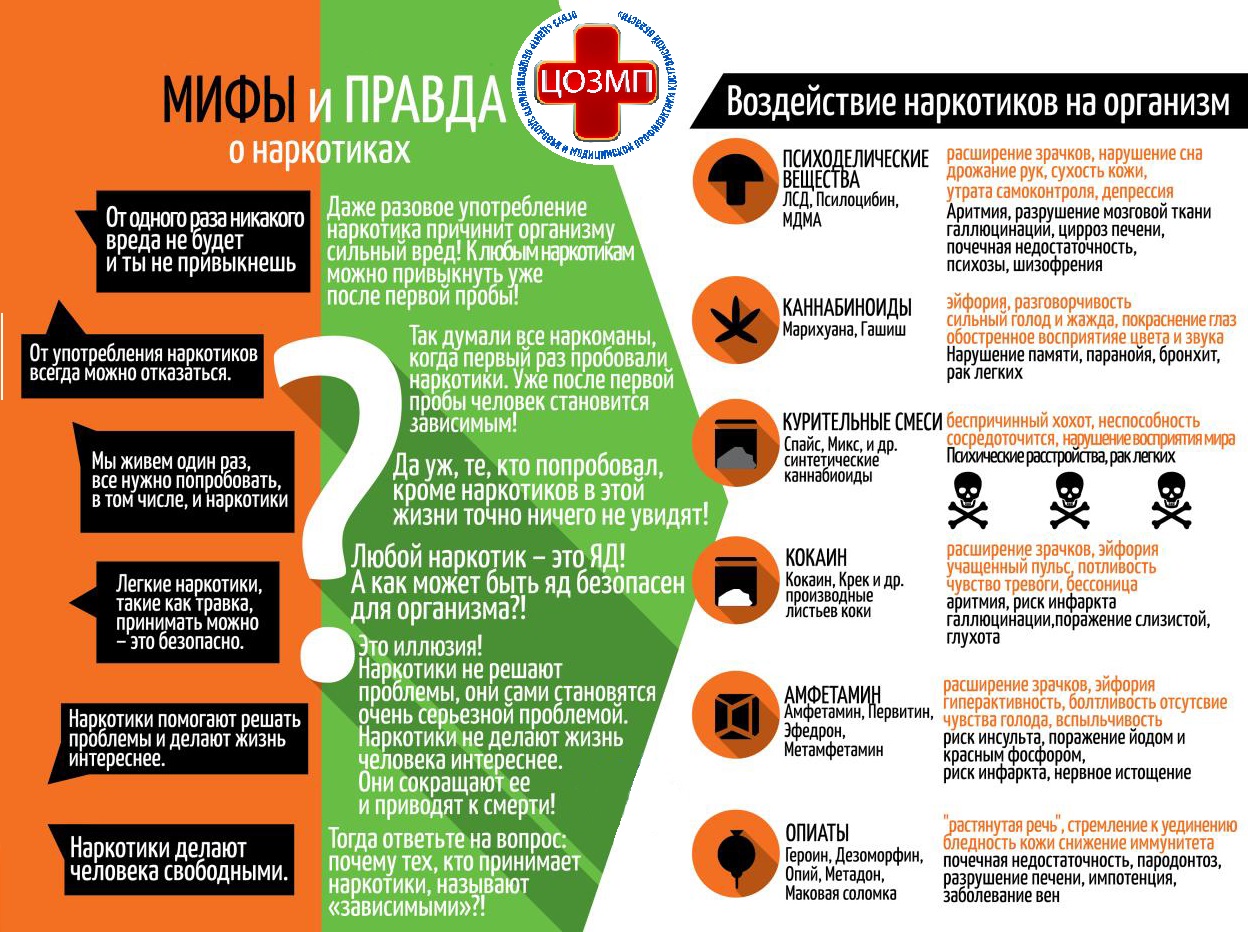 Мифы и правда о наркотиках.jpg
