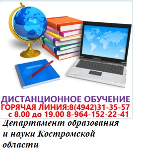 горячая линия 84942313557