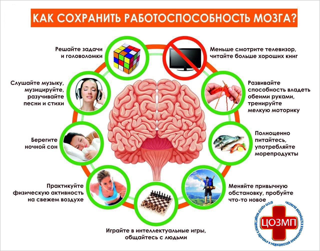 Как сохранить работоспособность мозга.jpg