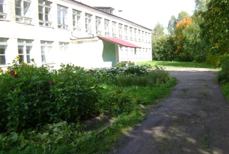 шк лик.JPG