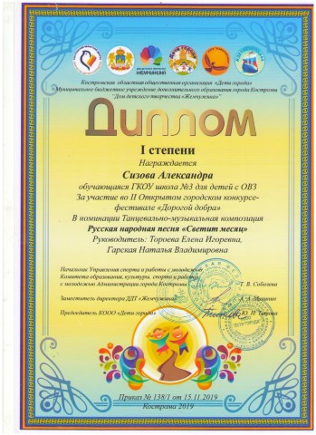Дорогой добра. 1 степень. Сизова А..jpg