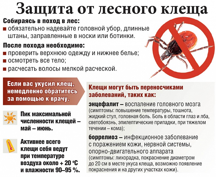 защита.jpg