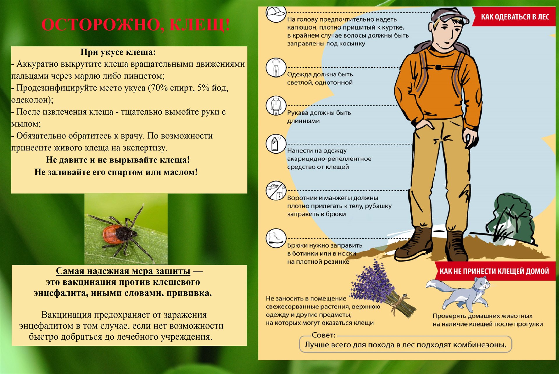 осторожно.jpg