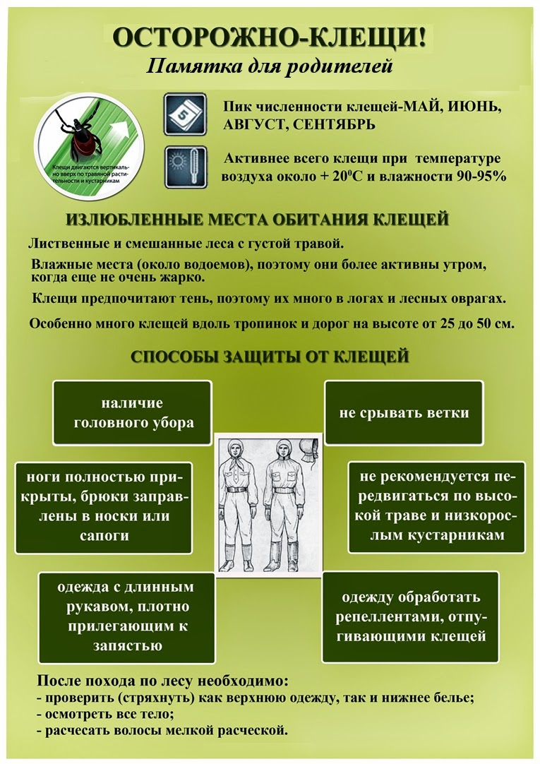 памятка для родителей.jpg
