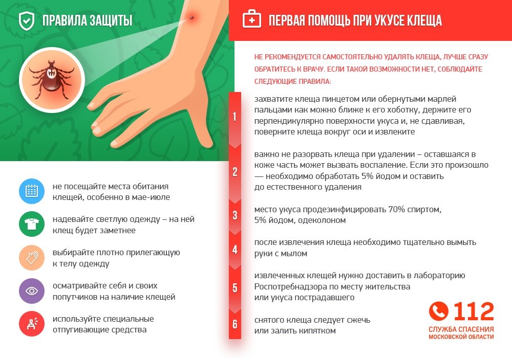 первая помощь при укусе.jpg