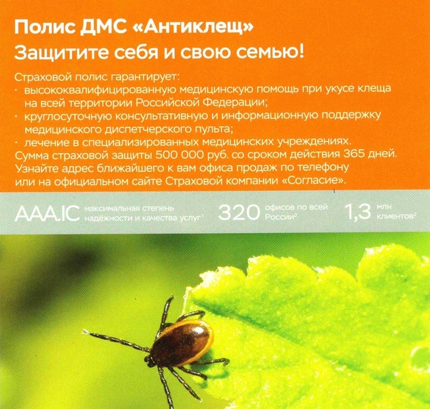 согласие.jpg