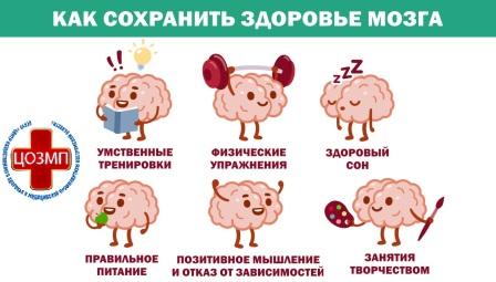 Как сохранить здоровье мозга.jpg