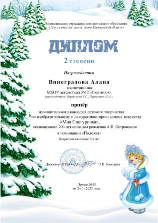22 Моя снегурочка 23 год 2 место.jpg