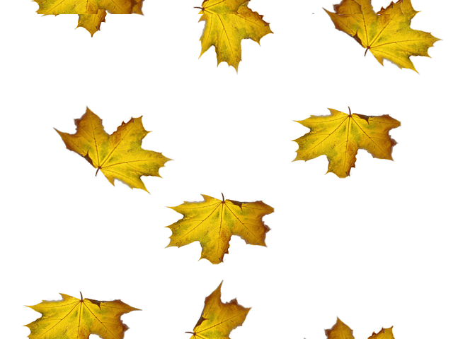 xukftc.gif