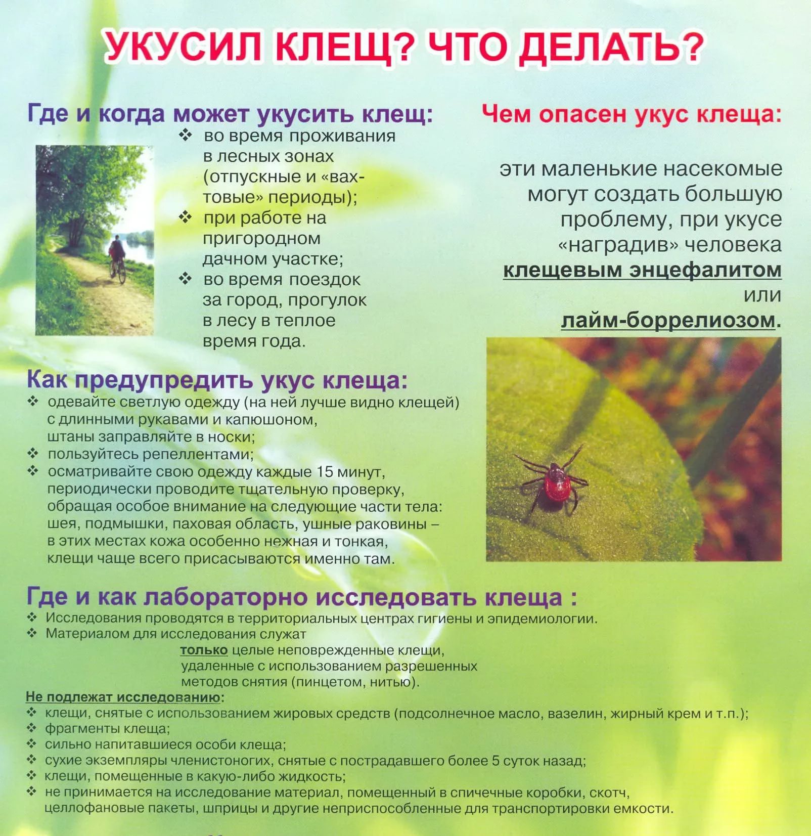 осторожно клещи.jpg