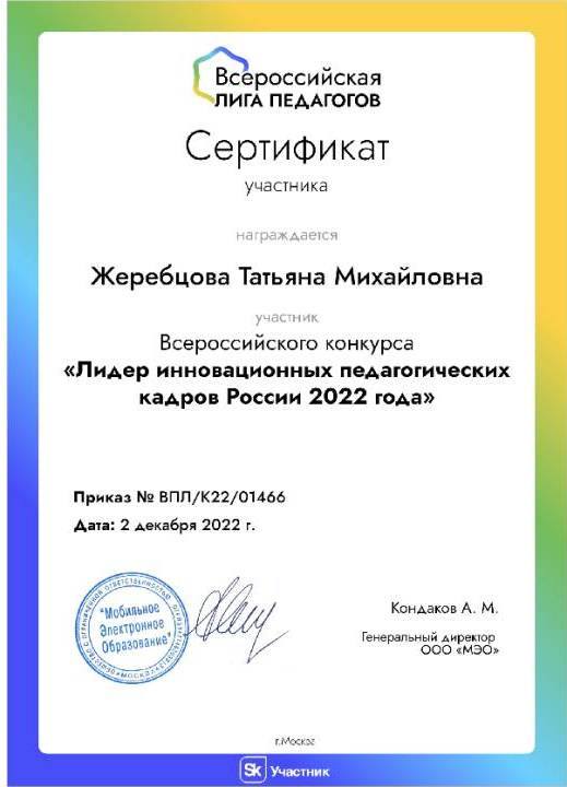 участник лидер педагогических идей.JPG
