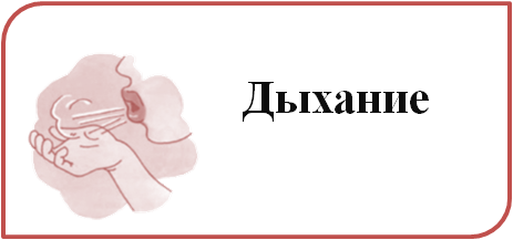 Дыхание.png