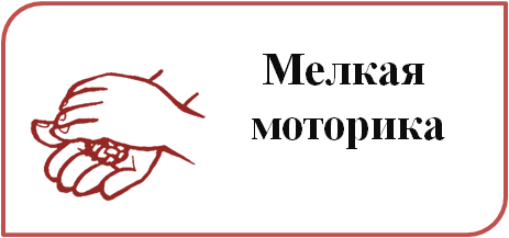 Мелкая моторика 2.png