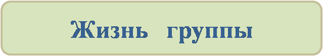 Жизнь группы.png