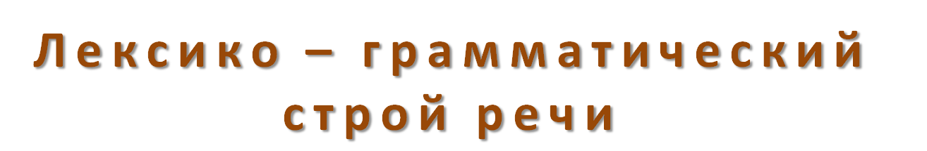 лексико -грамматический строй речи.png