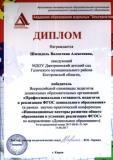 Диплом Шмендель В.А..jpg