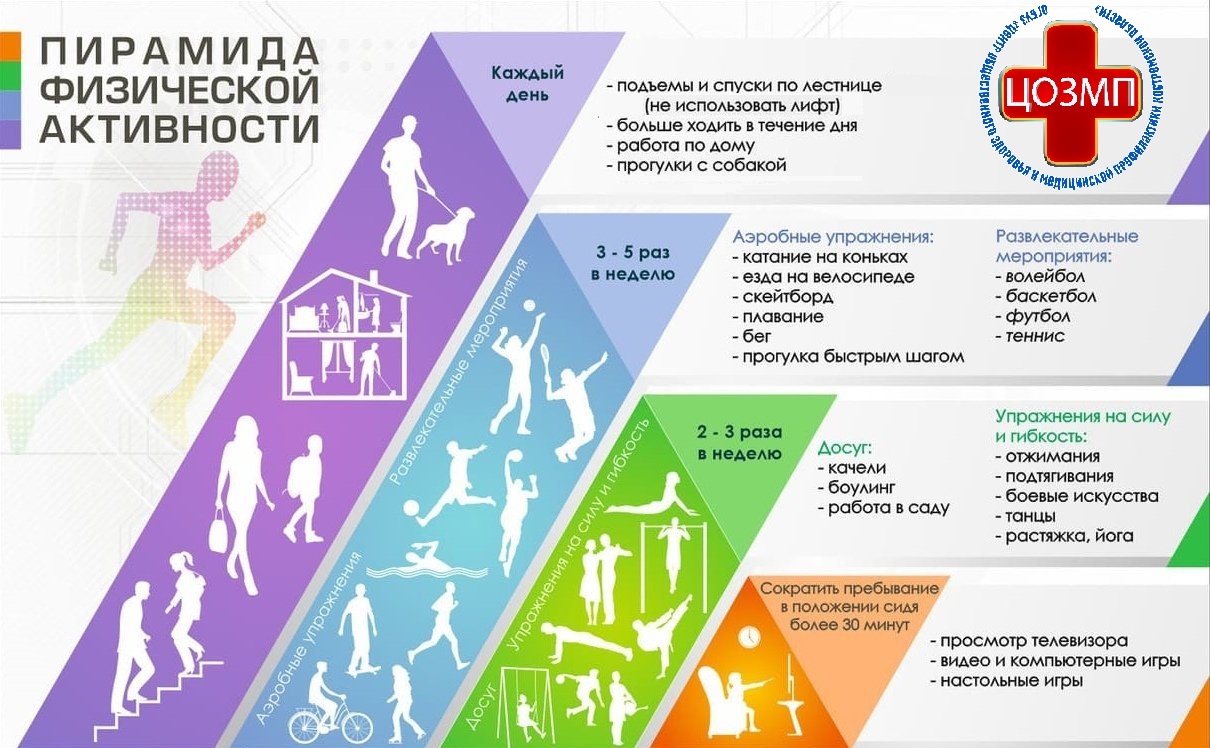 пирамида здоровья.jpg