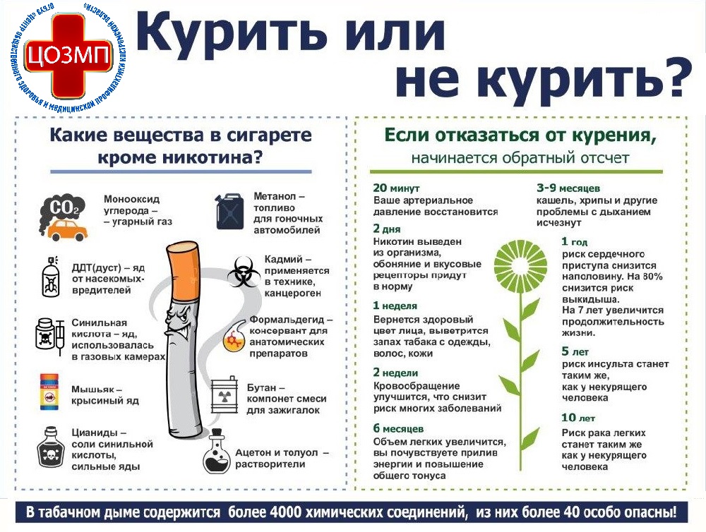 курить или не курить.jpg