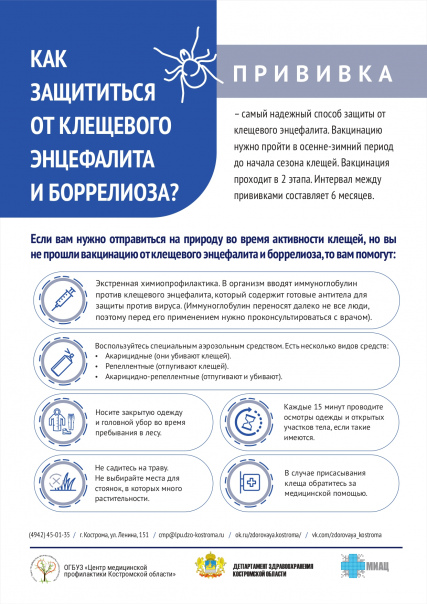 клещ 2.jpg