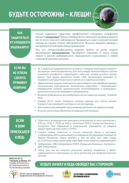 клещ 4.jpg