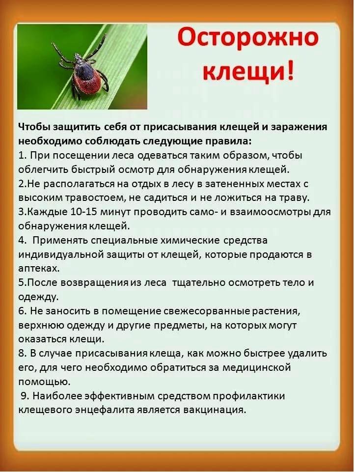 клещи вк.jpg