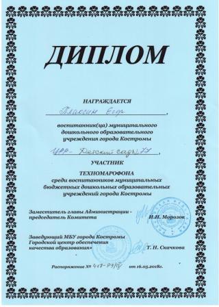 Плаксин Егор Техномарафон.jpg