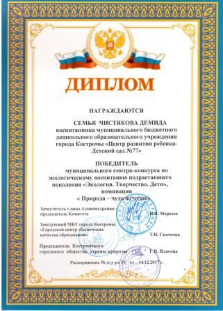 Чистяков Демид Диплом победителя.jpg