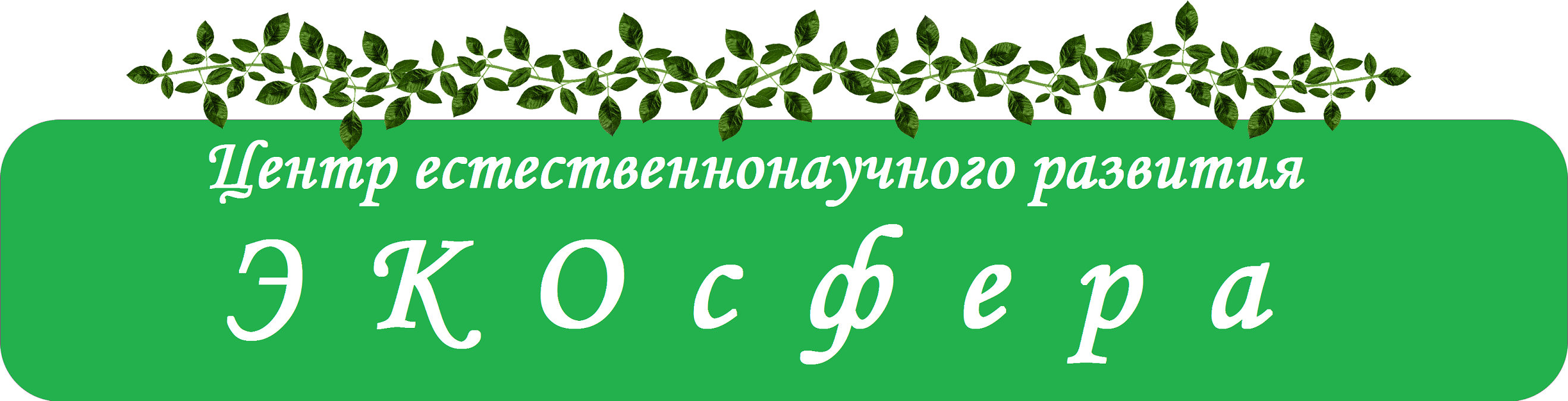 главная.png